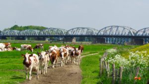 john-s-thompsonbrug-grave