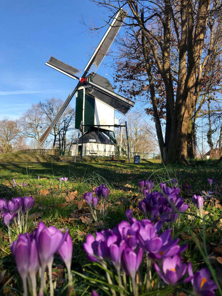 Standerdmolen Rosmalen